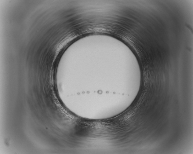 X0000100320987200806261222