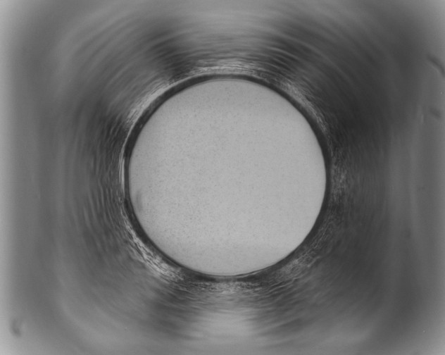 X0000100320988200806261222