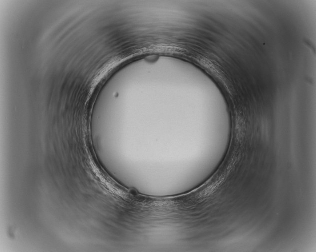 X0000100320989200806261222