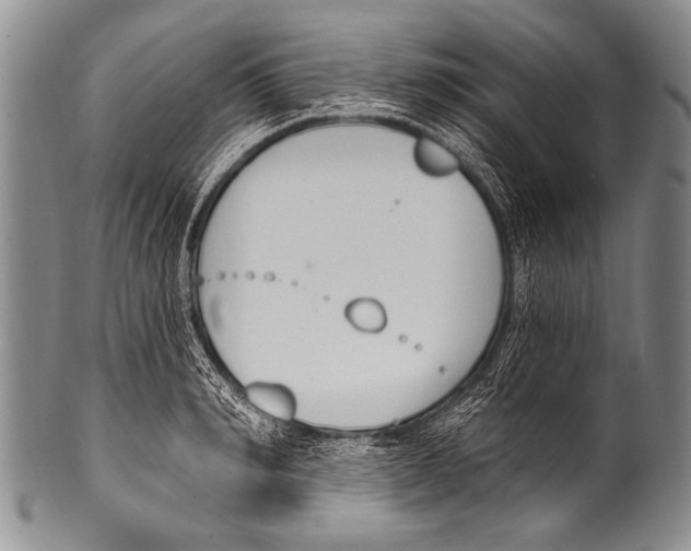 X0000100320990200806261222