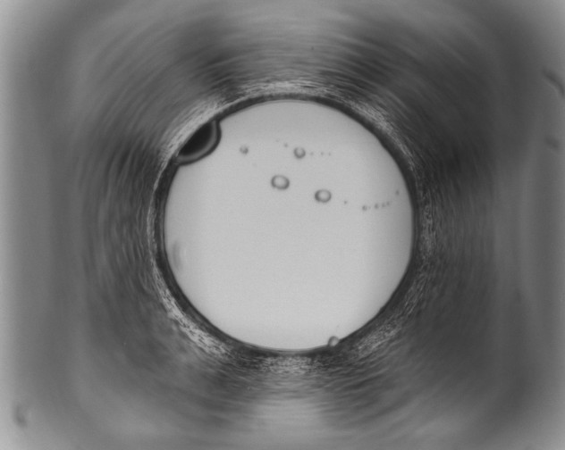 X0000100320991200806261222