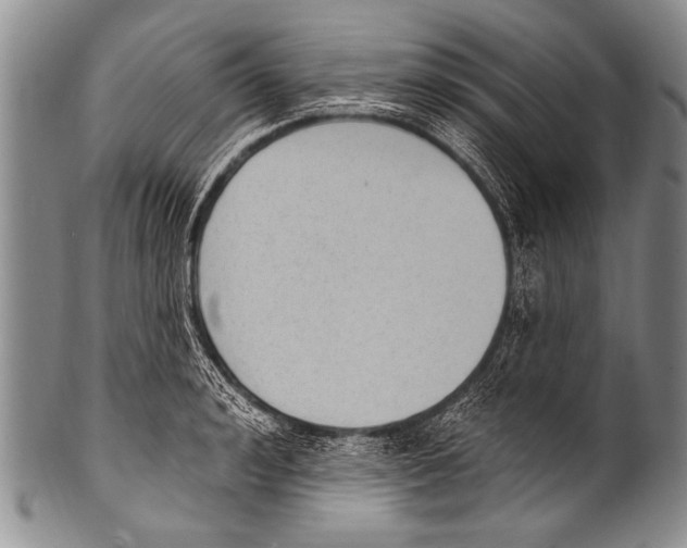 X0000100320992200806261222