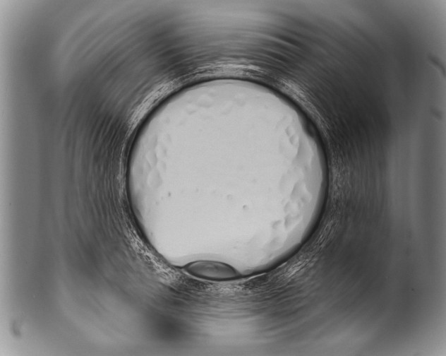 X0000100320994200806261222