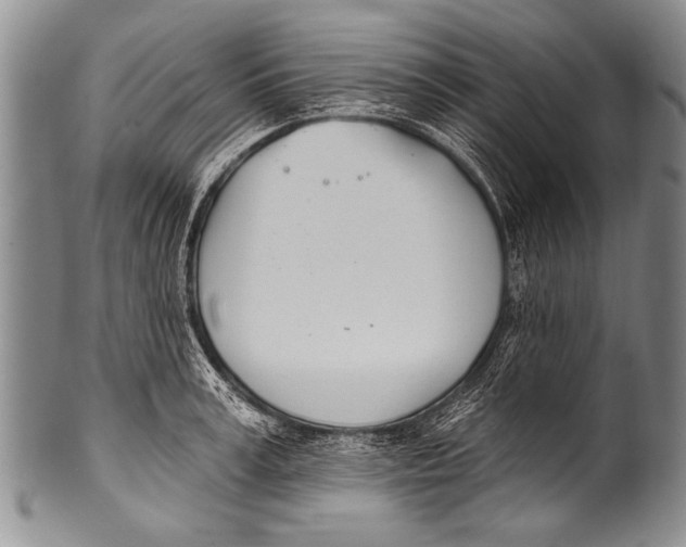 X0000100320995200806261222