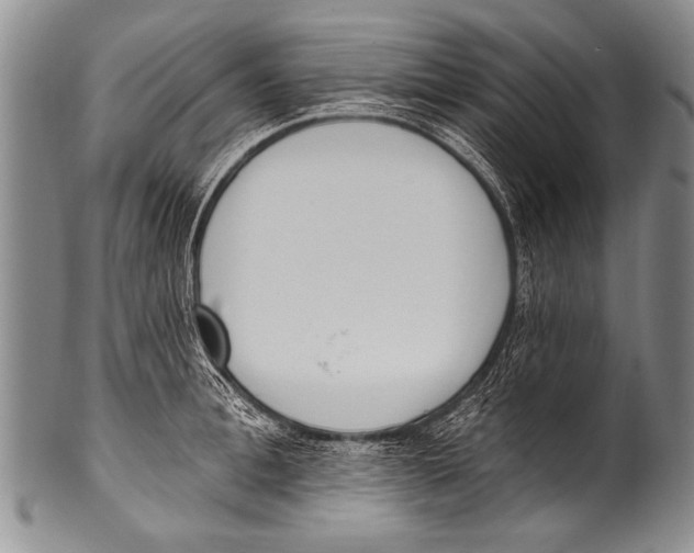 X0000100320996200806261222