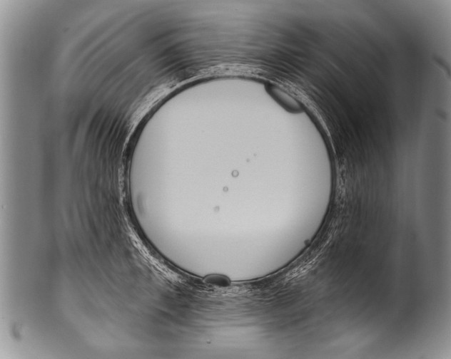 X0000100320997200806261222