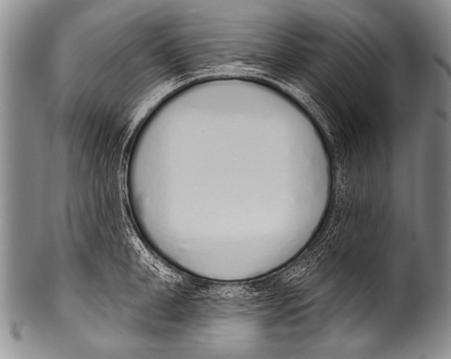 X0000100320998200806261222