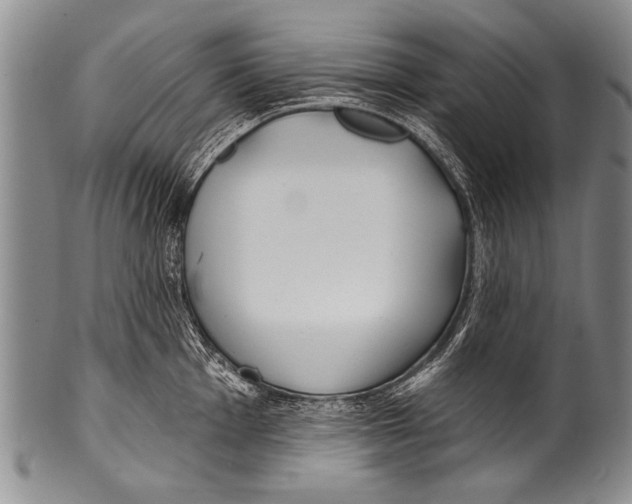 X0000100321001200806261222