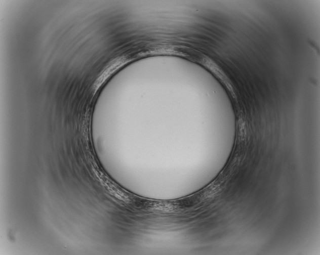 X0000100321002200806261222