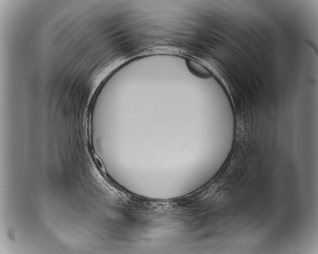 X0000100321003200806261222