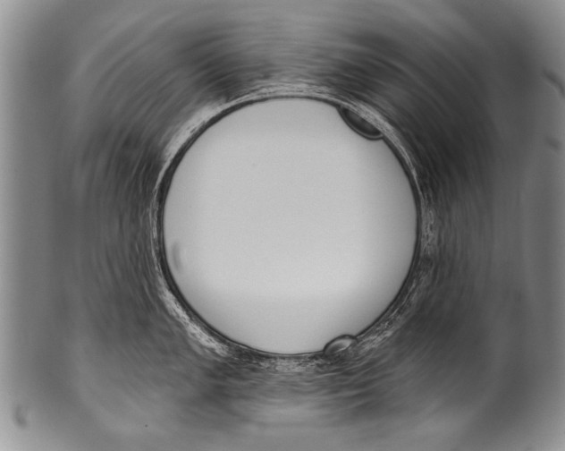 X0000100321005200806261222