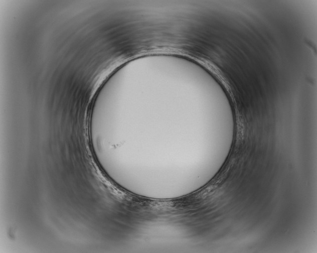 X0000100321006200806261222