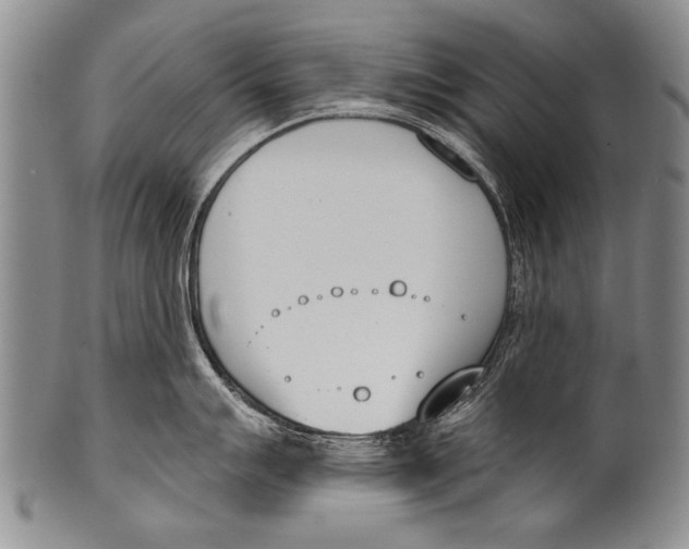 X0000100321007200806261222