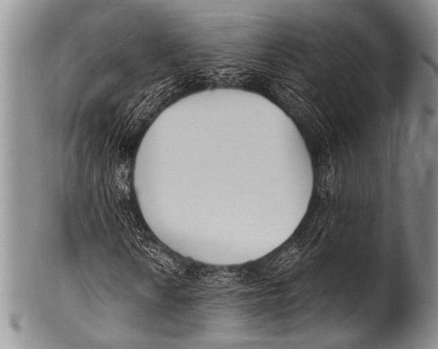 X0000100321010200806261221