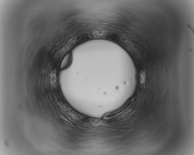 X0000100321011200806261221