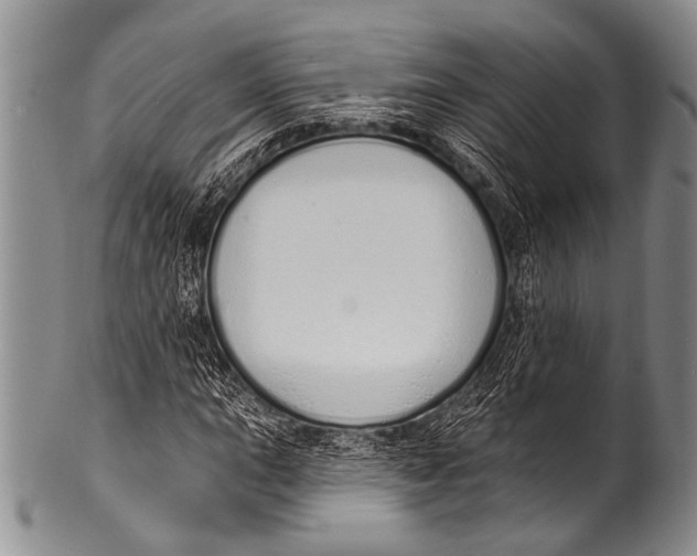 X0000100321015200806261221