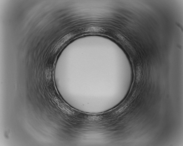 X0000100321017200806261221