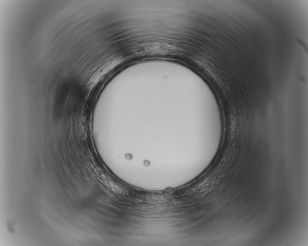 X0000100321018200806261221