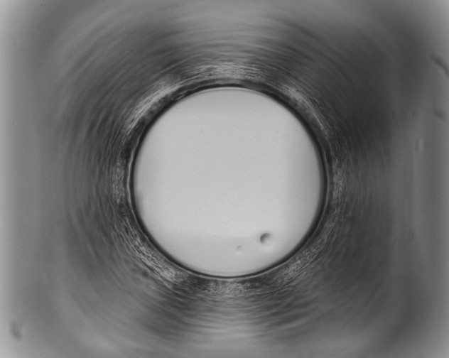 X0000100321019200806261221