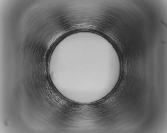 X0000100321022200806261221