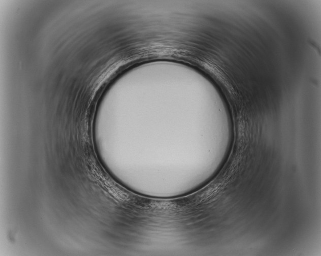 X0000100321023200806261221