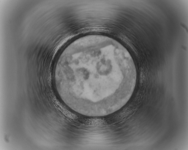 X0000100321024200806261221