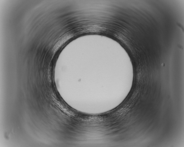 X0000100321026200806261221