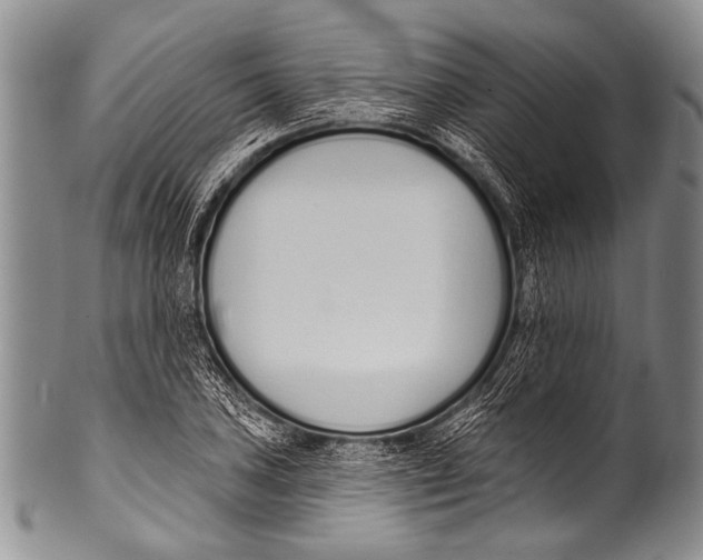 X0000100321027200806261221