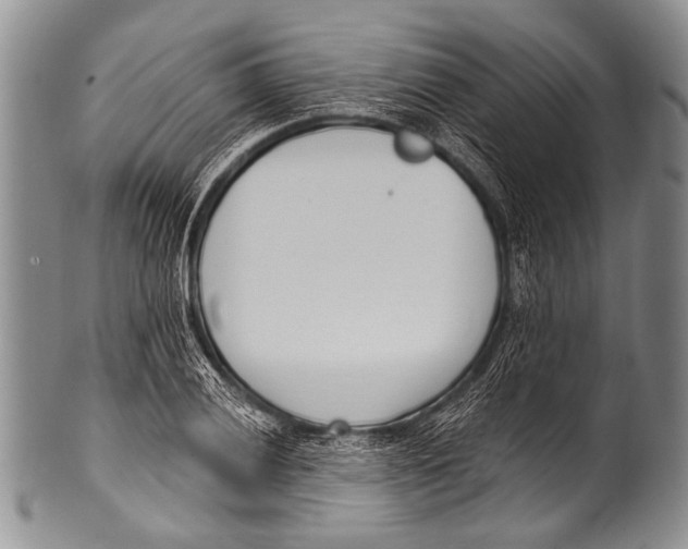 X0000100321028200806261221