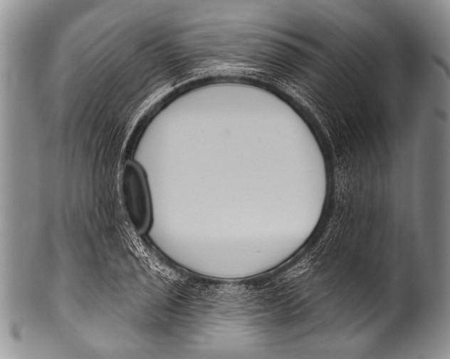 X0000100321029200806261221