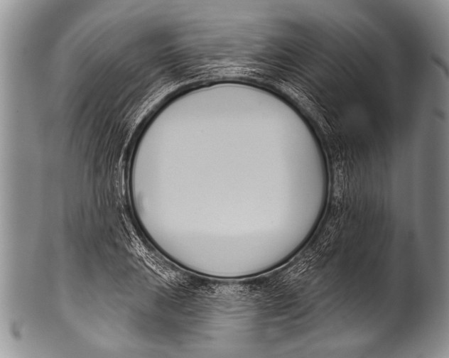 X0000100321031200806261221