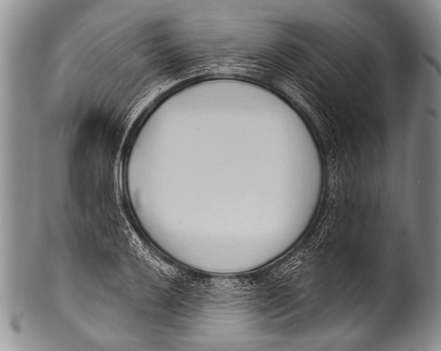 X0000100321032200806261222