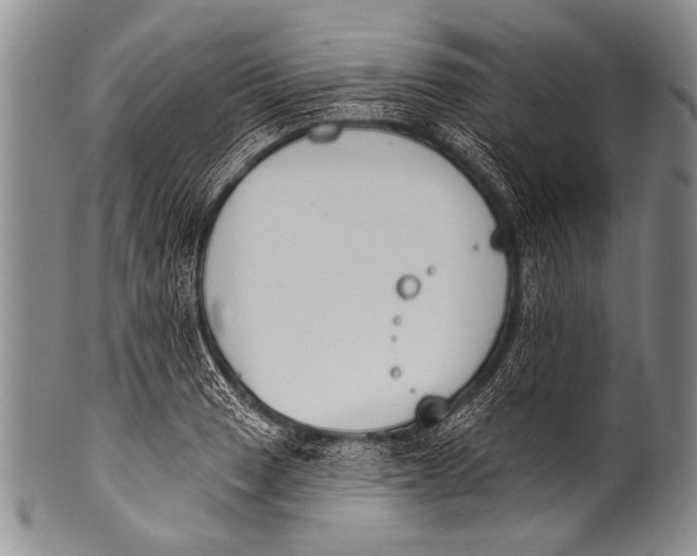 X0000100321033200806261222