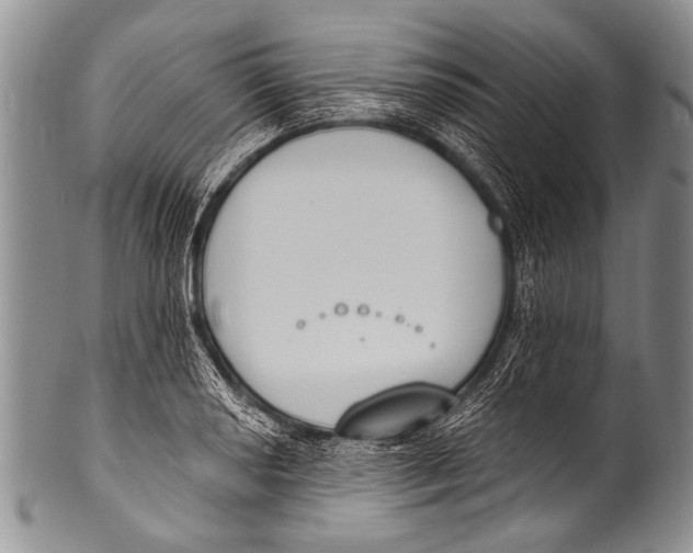 X0000100321034200806261222