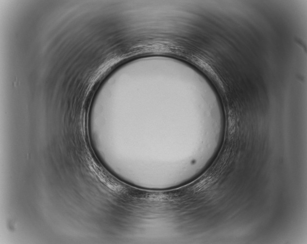 X0000100321035200806261222