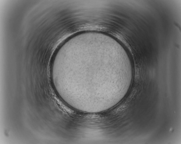 X0000100321037200806261222