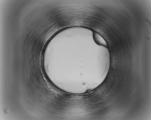 X0000100321039200806261222