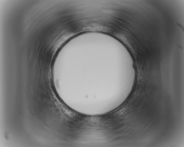 X0000100321040200806261222