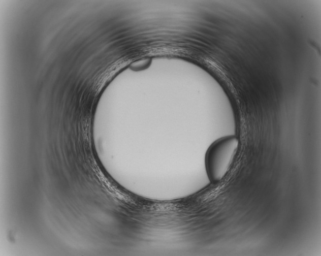 X0000100321041200806261222