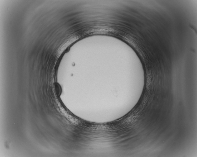 X0000100321042200806261222