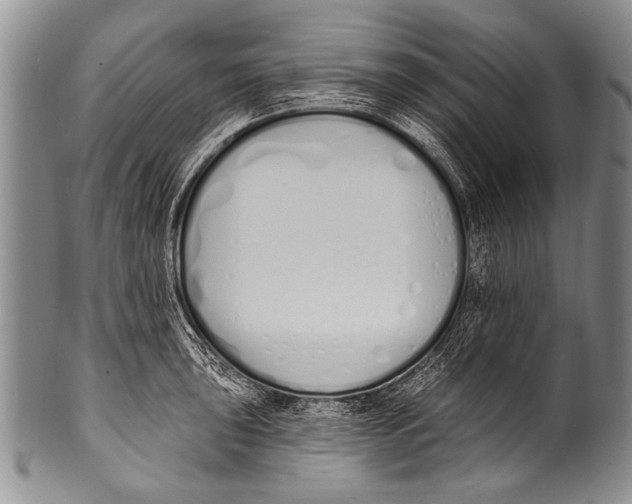 X0000100321043200806261222