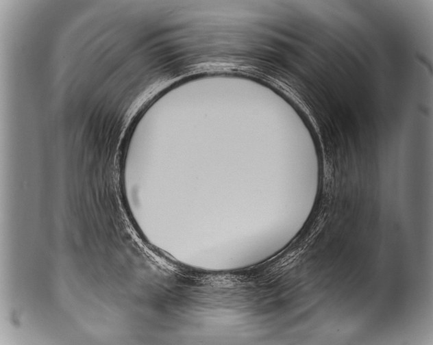 X0000100321045200806261222