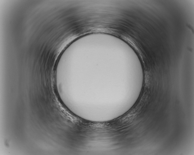 X0000100321048200806261222