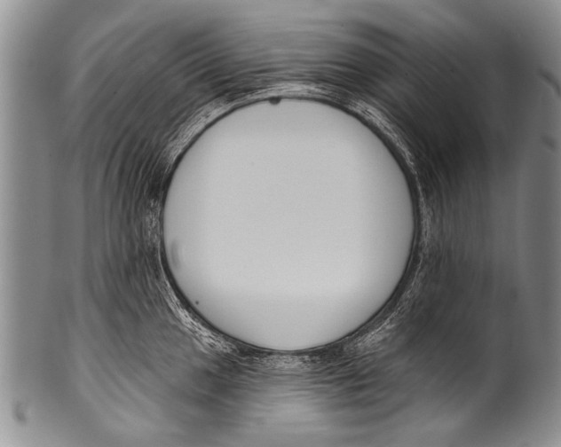 X0000100321049200806261222