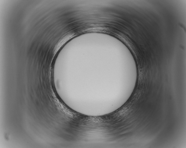 X0000100321050200806261222