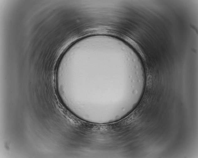 X0000100321051200806261222