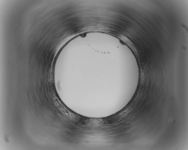 X0000100321052200806261222