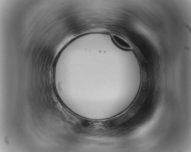 X0000100321054200806261222