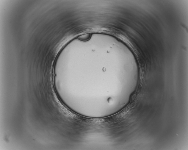 X0000100321055200806261222