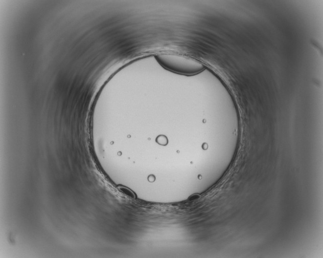 X0000100321056200806261222